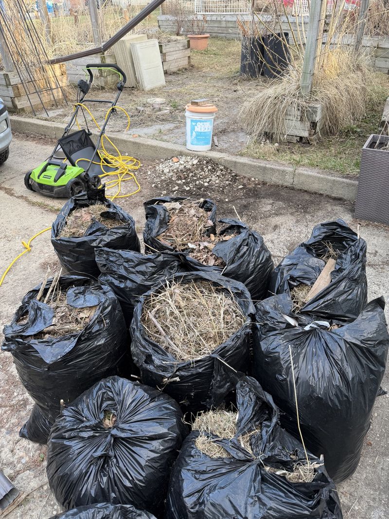 Fall cleanup in progress