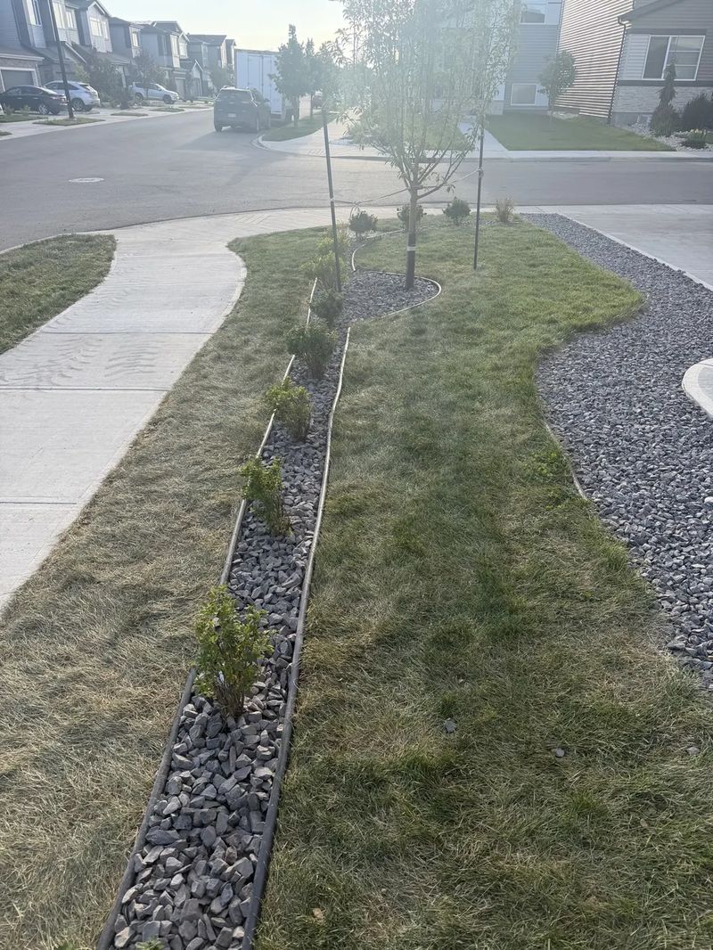 Front yard with rock beds and plantings
