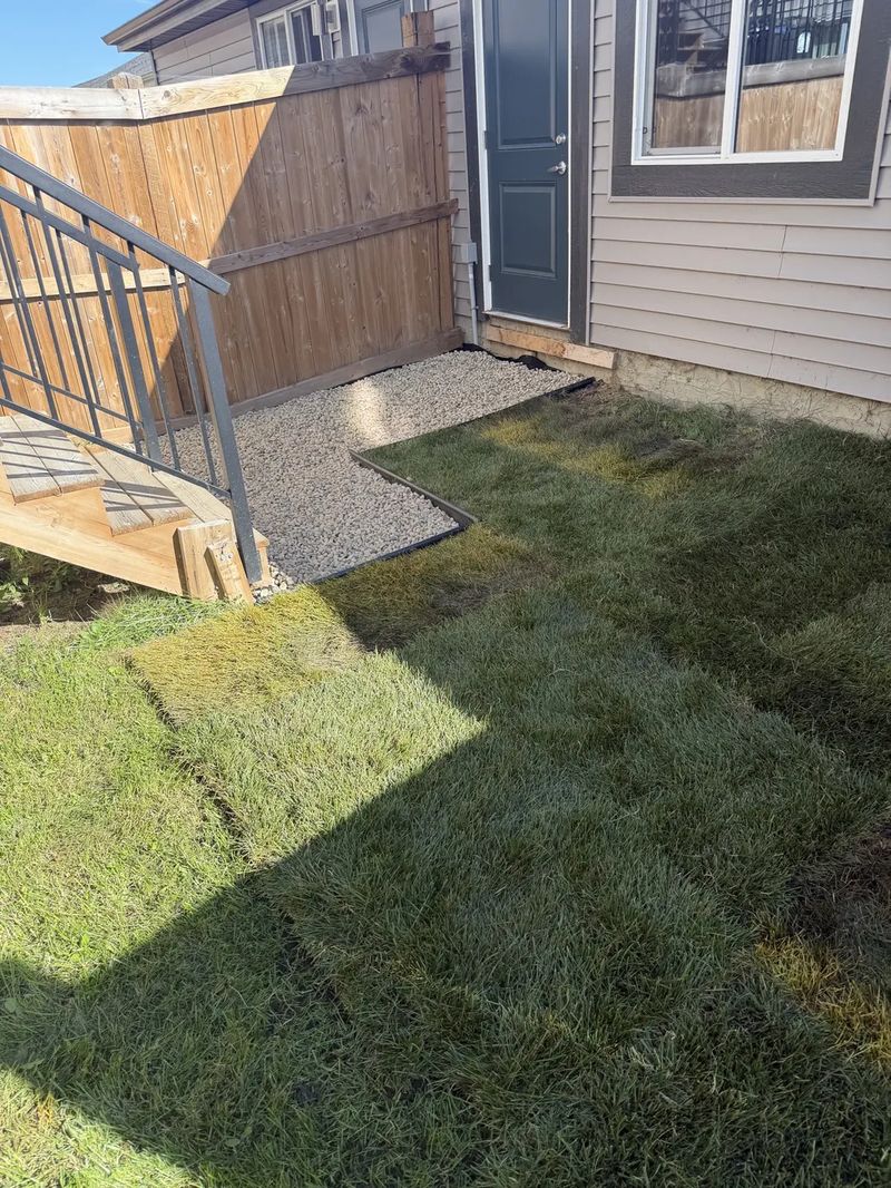 Fresh sod installed across a backyard